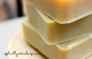 Acne_Battle_Bar_NEW__97140