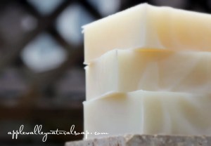 Coconut_Bars_NEW__79297