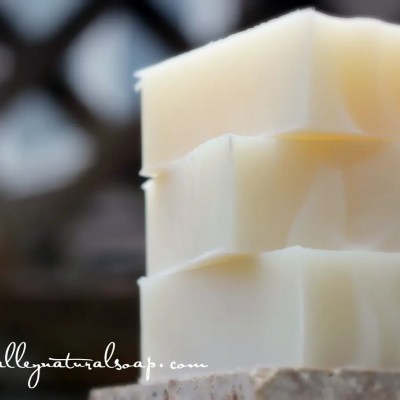 Coconut_Bars_NEW__79297