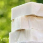 Earth Shampoo & Body Bar