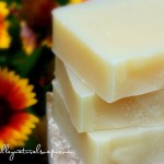 Grapefruit Patchouli Shampoo & Body Bar