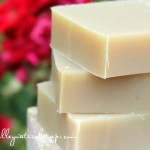 The Grey Hair Care Shampoo Bar
