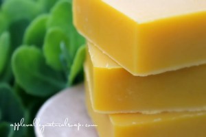 Honey_Carrot_NEW__61269