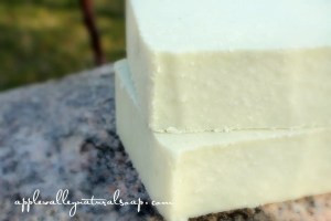Lavender_Lemon_Salt_NEW__21584