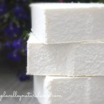 Lavender Rosemary Salt Bar