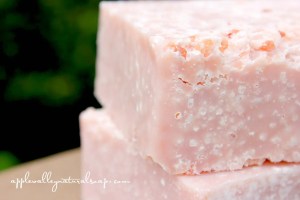 Pink_Salt_NEW__00579