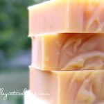 Restore Shampoo & Body Bar