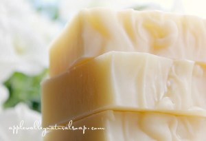 Simply_Shea_NEW__28007