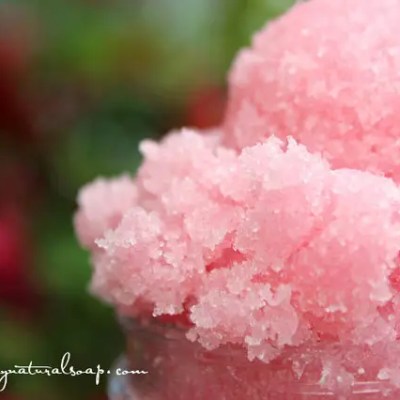 Sweet_Rosehips_Sugar_Polish_NEW__59147