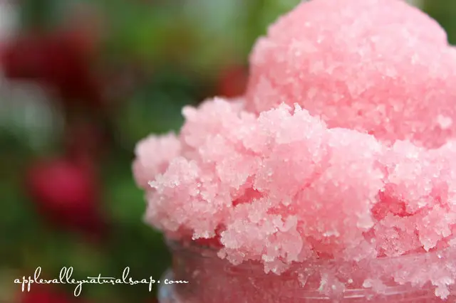 Sweet_Rosehips_Sugar_Polish_NEW__59147