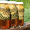 Vinegar_Rinse__28315