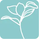 AVNS-Favicon_32px